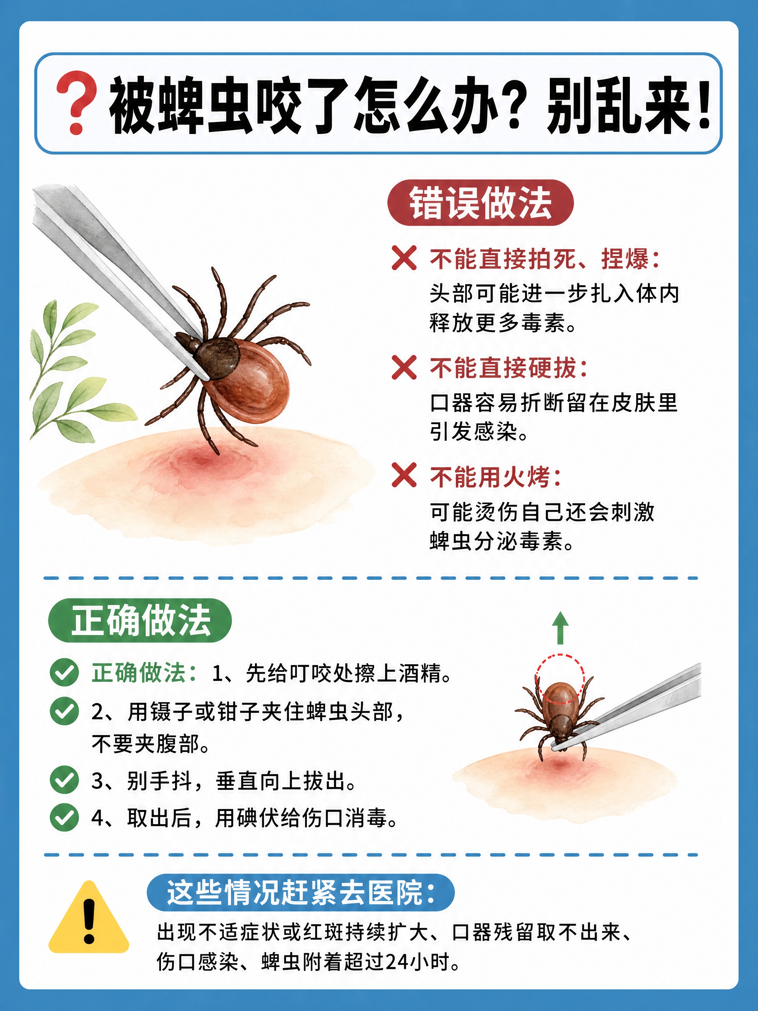 小红书健康科普图文内页，插图大字风格，ins清新风，版式骨架、… - 图片创意预览