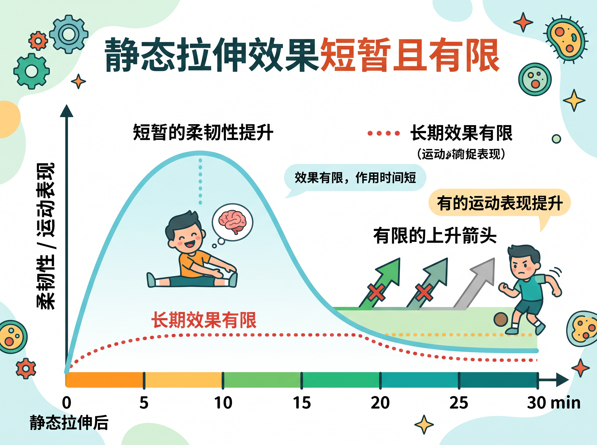 静态拉伸效果短暂且有限的动画风格科普插图，展示静态拉伸后柔韧性… - 图片创意预览