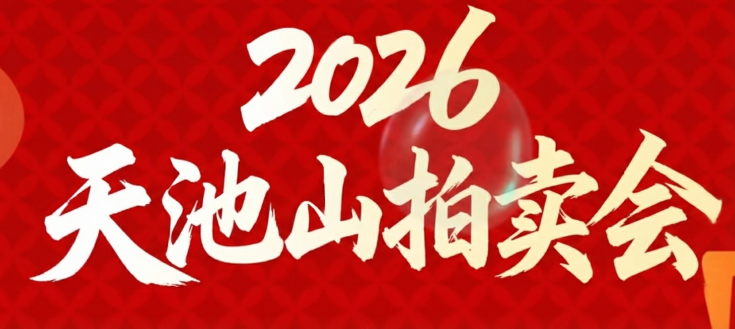 帮我生成这样类似风格的字体，内容是2026天池山拍卖会「图片1」预览效果