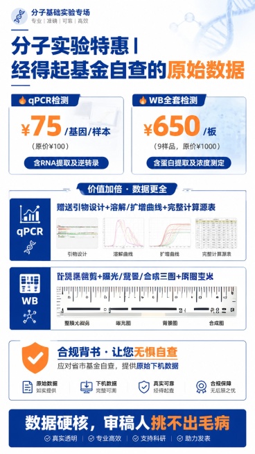 文字：整膜无裁剪-显色+背景+合成-原图直出。。图片修改：1、整膜无裁剪不动。2、显色图是白底黑色条带的，但是没有左侧方的marker标尺。然后背景图，黑色底，白色膜，膜上有左侧方的marker标尺。预览效果