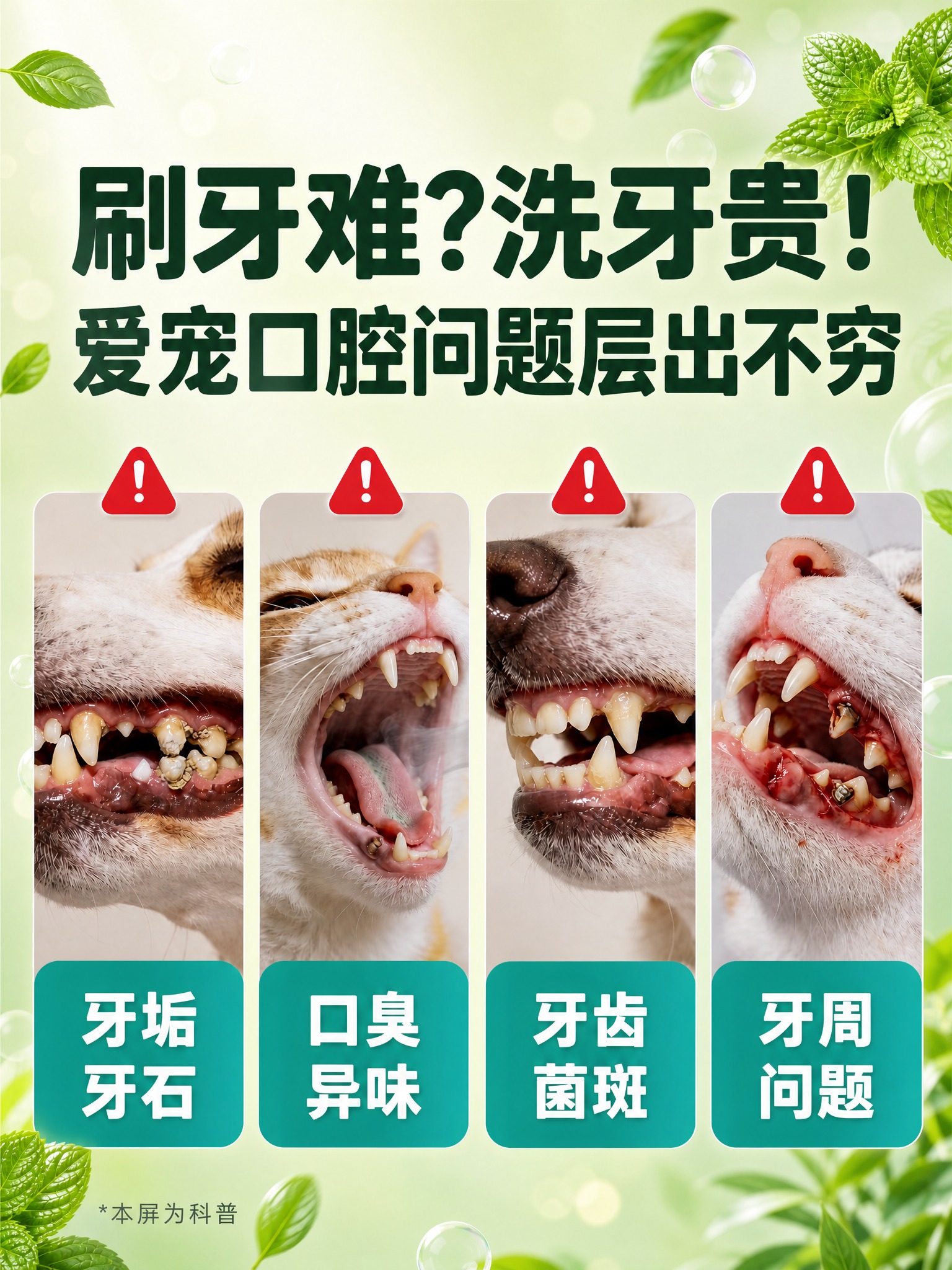 [商品] 本页为痛点科普页，不展示产品主体；使用【图2】口腔问… - 图片创意预览