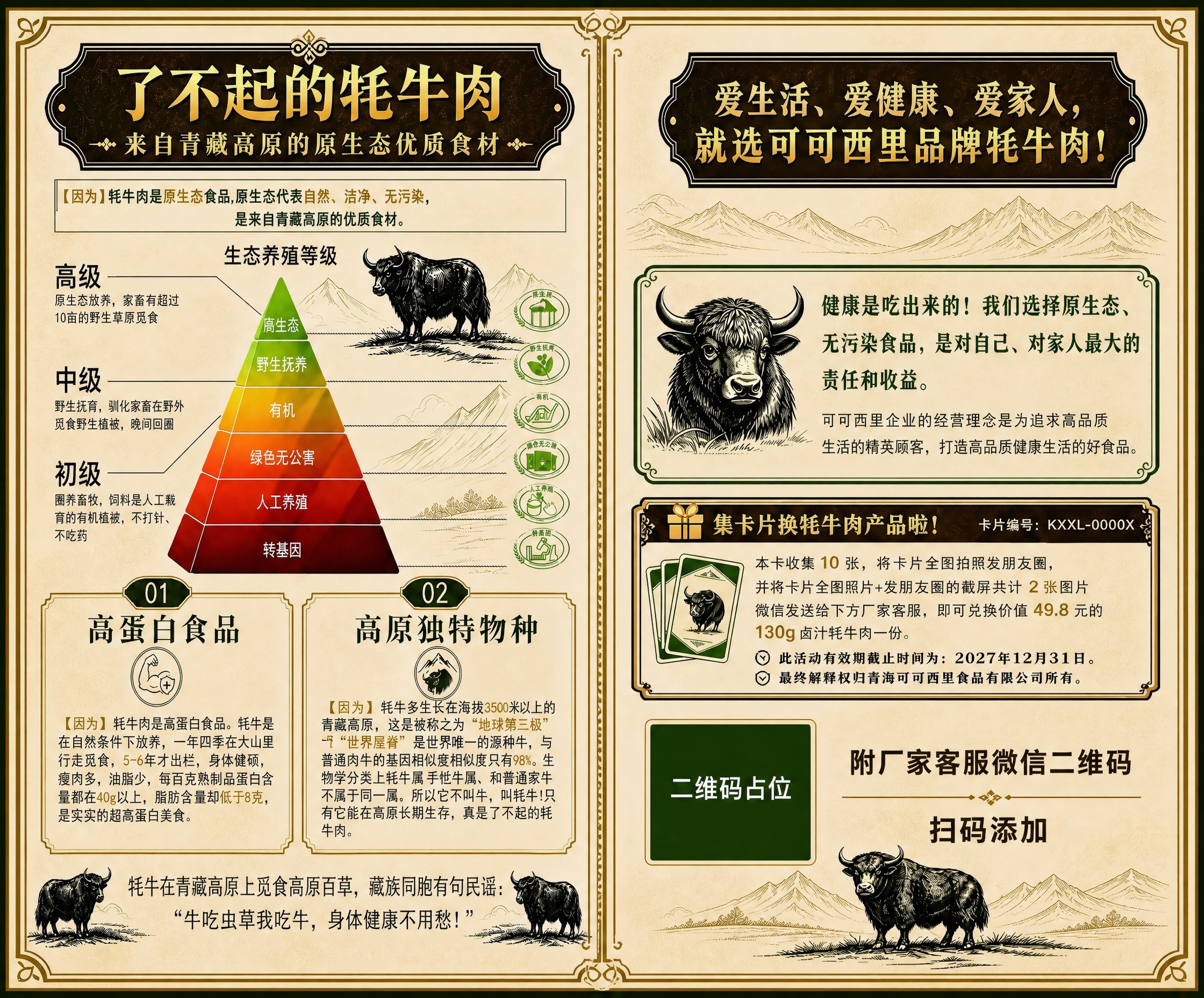 将这张牦牛肉宣传海报改为左右双栏（从中间竖向分页）排版布局，左… - 图片创意预览