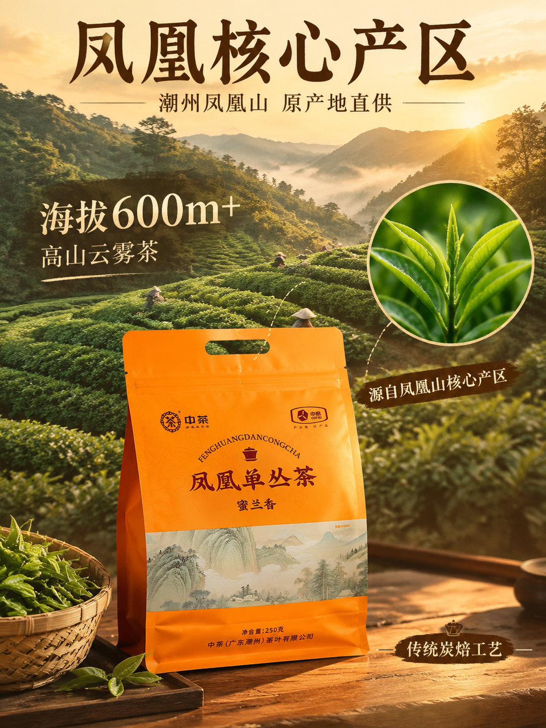 [主图-2 产地溯源] 中茶凤凰单丛茶蜜兰香 产地溯源信任型主… - 图片创意预览