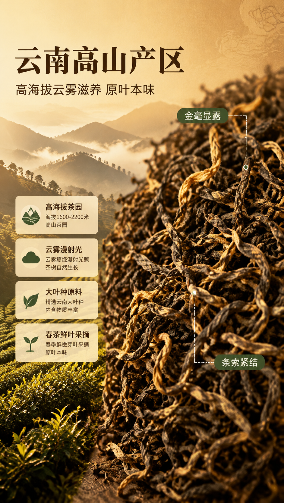 [商品] 使用【图2】【图7】云南高山晒红干茶；保留茶叶条索紧… - 图片创意预览