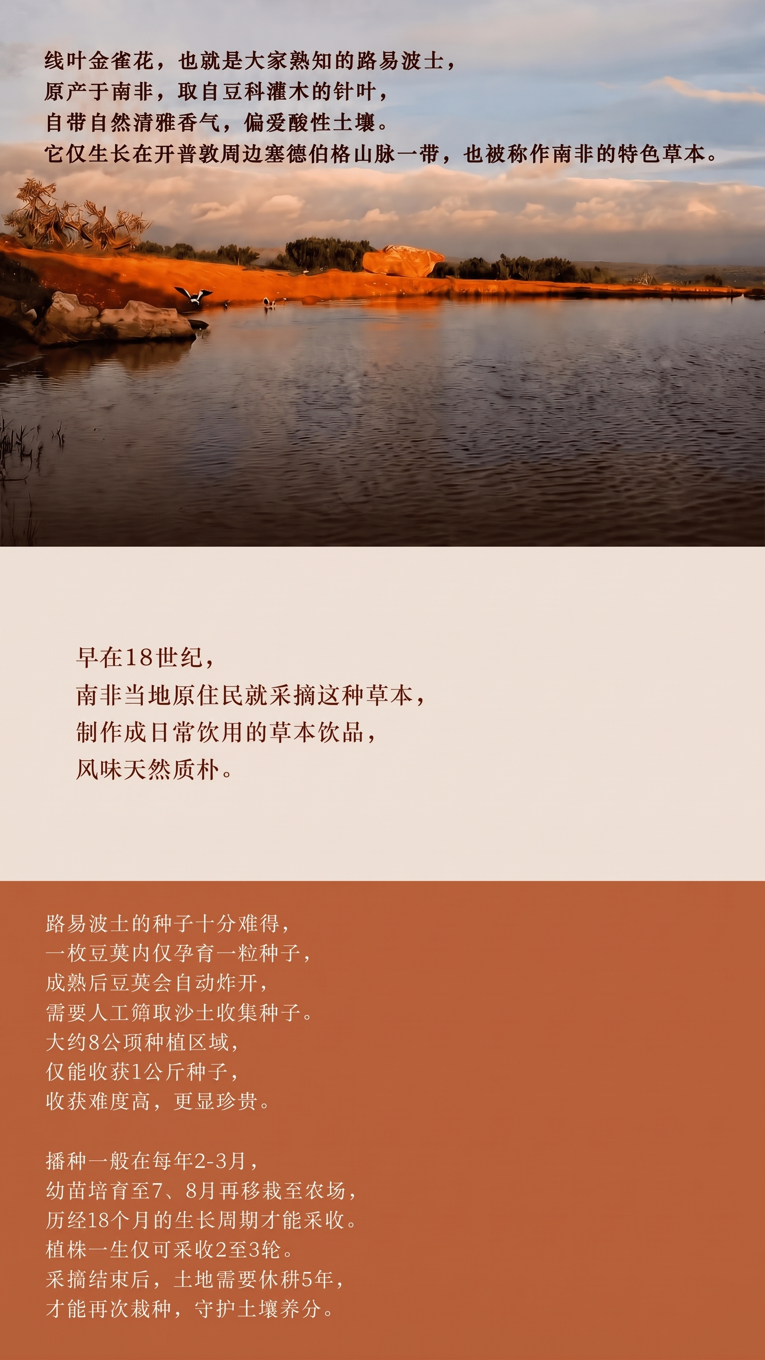 最上面的字体黑色改为棕色 - 图片创意预览
