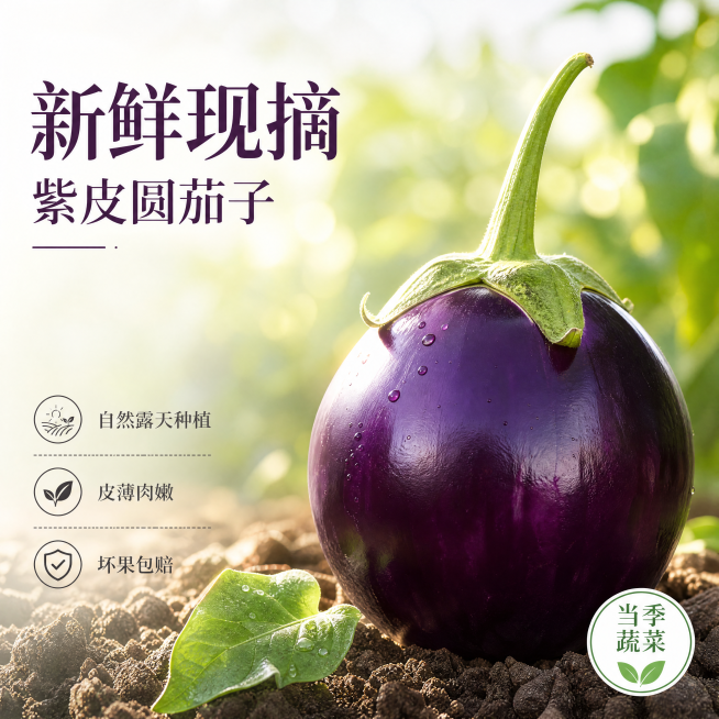[单张主图] 紫皮圆茄子，高级氛围感主图，突出新鲜美味食欲感，打造电商爆款点击率。
[画面主体] 一颗完整饱满的紫皮圆茄子居中展示，带新鲜绿色长茄柄，茄子表皮呈现自然油亮光泽，紫黑色外皮纹理清晰，整体预览效果