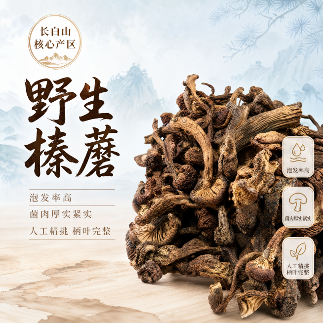 [单张主图] 商品名称野生榛蘑，高级氛围感主图，同时承担点击、理解、信任、转化四个功能。
[画面主体] 野生榛蘑干货堆叠在画面中下部，保持产品外观、颜色、结构与输入产品图一致，杜绝任何变形和色差，精细预览效果