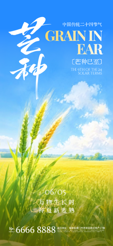 芒种节气祝福问候通用清新风全屏竖版海报预览效果