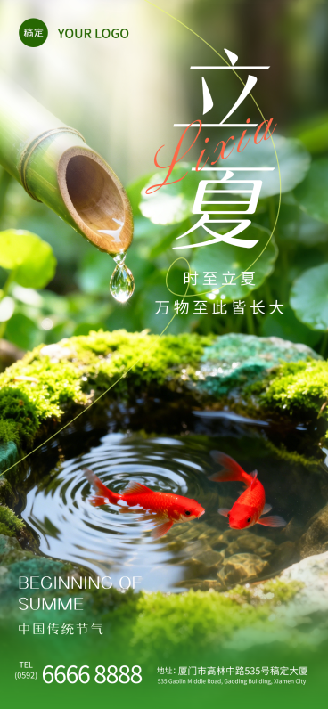 立夏实景渐变荷叶锦鲤模糊背景全屏竖版海报预览效果