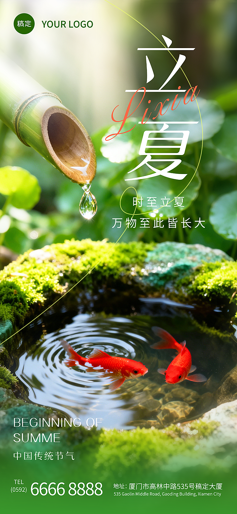 立夏实景渐变荷叶锦鲤模糊背景全屏竖版海报