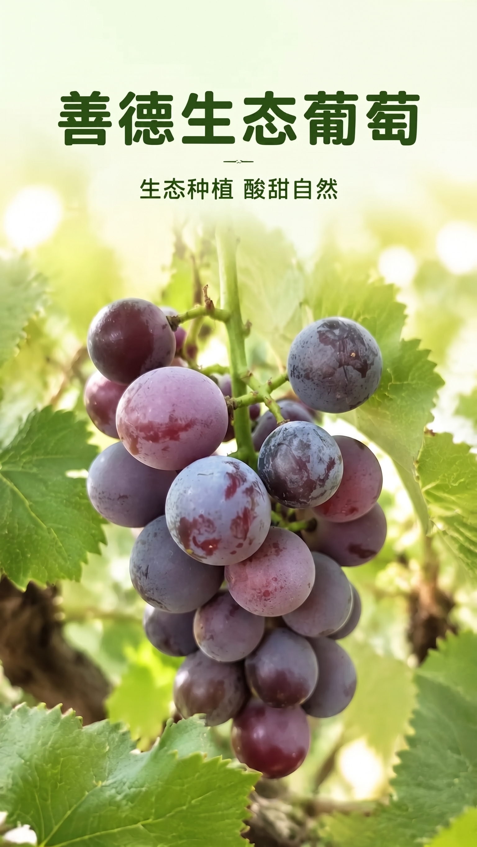 稿定 AI 图片作品 - 图片创意预览