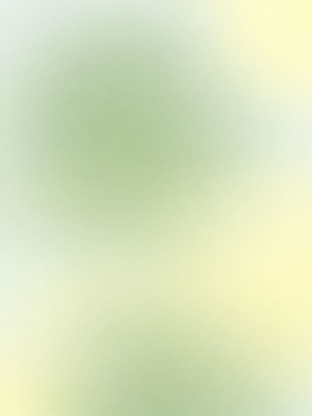 参考图中的渐变纯色背景风格，生成一张淡绿色到浅黄色的柔和渐变背景图，整体色调清新柔和，渐变过渡自然平滑，纯净无杂质，适合作为海报背景使用