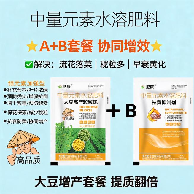 突出双剂协同增效，A+B搭配解决落花落荚、秕粒多、早衰黄化问题，大豆增产套餐宣传图，1:1主图预览效果