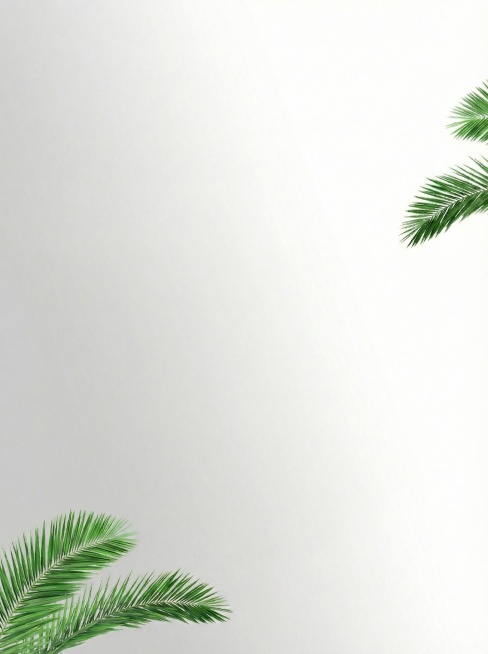 产品去掉预览效果