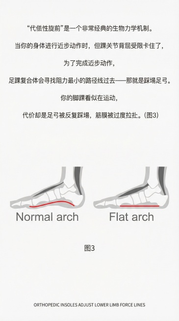 改成极简风格 明亮一点 改为：900 x 1600px 尺寸预览效果