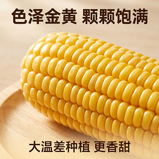 [主图 3] 粘玉米颗粒纹理细节放大展示主图
[氛围风格] 微距特写食欲感，突出品质
[画质] 商业摄影质感、超微距清晰拍摄，颗粒纹理锐利真实，画面干净高级
[元素] 剥去铝箔包装的完整黄粘玉米，放置在清新原木餐垫上，玉米颗粒朝向镜头，微距放大展示色泽金黄颗粒饱满的细节，玉米粒表面带有自然光泽，一颗完整玉米占据画面中心。保持玉米本身色泽和质感和产品描述一致，精细化处理。背景为干净的浅原木色桌面，虚化不抢主体。商品主体占比约70%，满屏无边框。
[光影] 自然暖阳侧逆光，光线穿透玉米粒，凸显通透金黄质感，颗粒纹理清晰，阴影柔和
[配色] 金黄色玉米粒为主，原木浅棕底色调和，整体温暖自然
[视角构图] 微距平视拍摄，玉米颗粒正对镜头，景深较浅，突出颗粒纹理
[文字版式] 顶部大字"色泽金黄 颗颗饱满"，深棕色粗体；底部小字标注"大温差种植 更香甜"，缩小字号，不抢主体，文字清晰不遮挡
[比例分辨率] 1:1 比例，2k分辨率，文字清晰可辨，超高清
[负向提示词] 变形，水印，文字错乱，产品图模糊，背景杂乱，颗粒模糊，食欲差