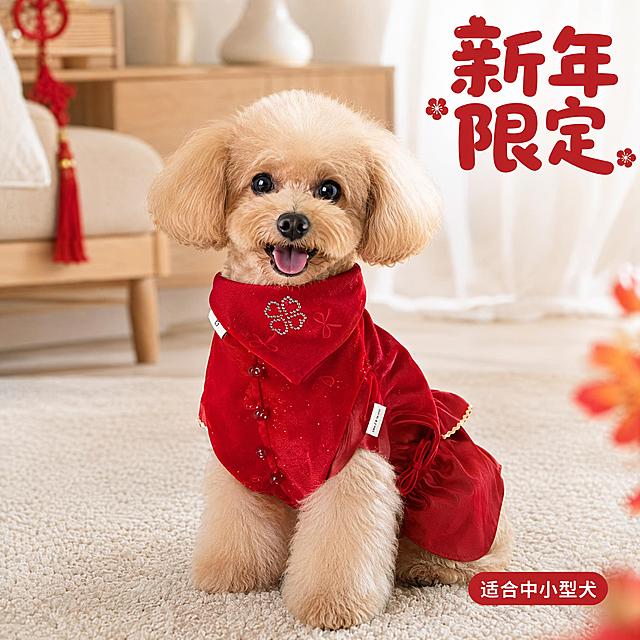 [主图-4] 中式宠物衣服穿戴效果场景展示。[氛围风格] 温馨喜庆新年居家场景，真实使用展示。[画质] 商业摄影质感、光线柔和通透、产品清晰真实、画面干净高级。[元素] 一只小型犬穿着这件红色中式宠物衣服，搭配同系列烫钻口水巾，端坐在浅色北欧风客厅地毯上，喜庆可爱。保持宠物衣服的外观、材质、颜色与输入产品图完全一致，杜绝任何变形和色差。背景为简洁浅色客厅，不会抢产品焦点。产品+宠物作为视觉中心，商品占比约60%。[光影] 柔和自然光，温馨暖调，毛发和衣服层次清晰，氛围喜庆。[配色] 正红色衣服搭配浅色系家居背景，红色突出醒目，整体和谐喜庆。[视角构图] 平视拍摄，宠物和产品完整居中展示，景深适中。[文字版式] 右上负空间写“新年限定”，大字圆润红色字；底部小标签标注“适合中小型犬”，文字简洁。[输出要求] 1:1 比例，文字清晰锐利，超高清商业摄影质感。[负向提示词] 变形，文字错乱，产品图模糊，背景杂乱，水印，电商平台Logo。