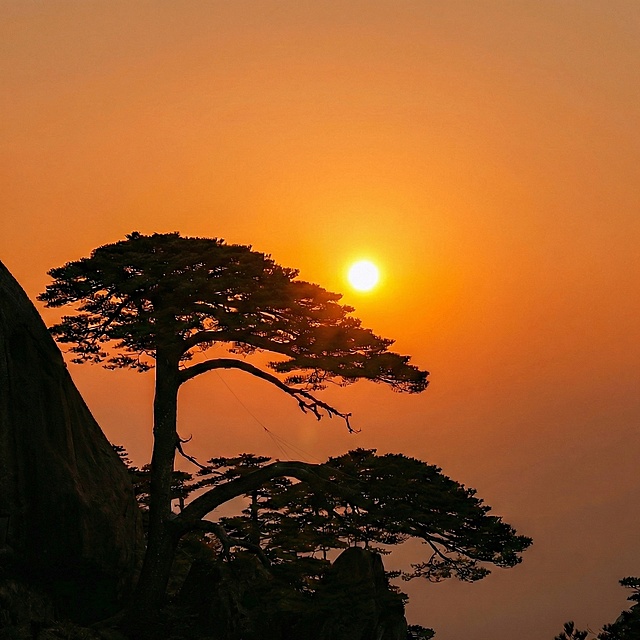 「图片1」左右正中，偏下