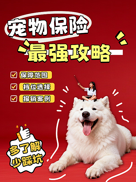 宠物猫狗喂养健康医疗金融保险营销科普知识通用卡通插画大字小红书封面