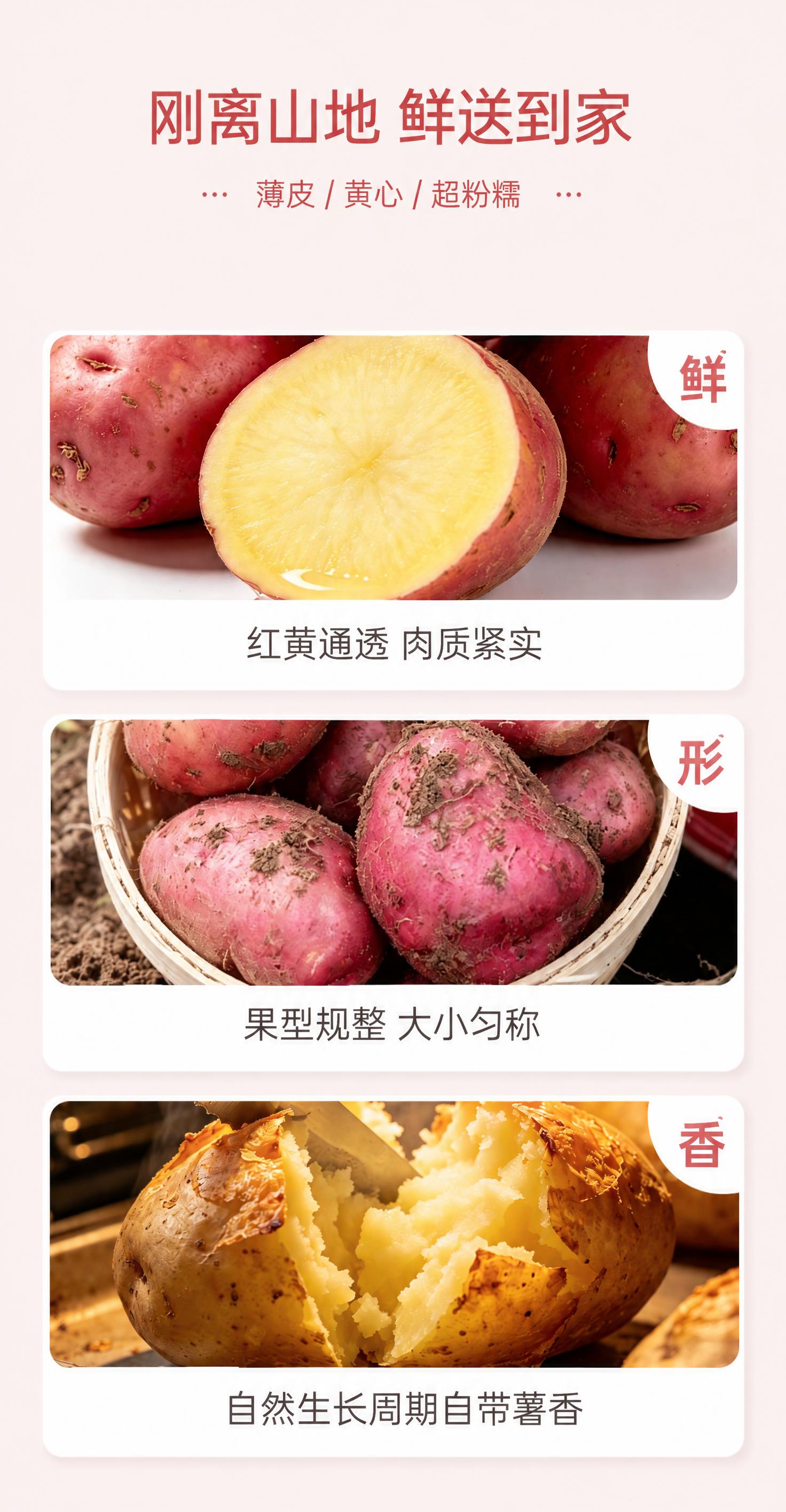 将图片底部第三栏的文字“自带薯香 无化学添加”替换为“自然生长… - 图片创意预览