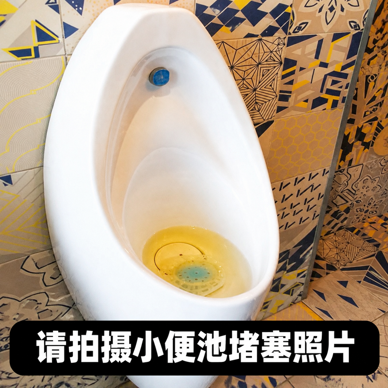 在图片底部添加黑色圆角矩形背景条，上面用白色粗体大字写着“请拍… - 图片创意预览