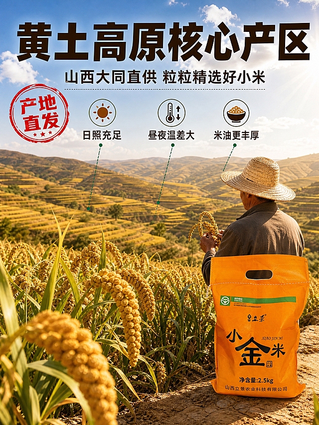 [商品] 使用【图1】立景小金米橙色包装袋正面；保留立景品牌logo、小金米大字、绿色食品认证标识、2.5kg净含量、橙色编织袋材质；产品位于画面右下角，占比约25%，作为产地直供的实物佐证。
[画面] 第2张 产地溯源专张 产地叙事型；目标是建立黄土高原产区信任，产地实景占画面主体约70%；背景是黄土高原层层叠叠的梯田小米田，金黄谷穗随风摇曳，蓝天白云，阳光洒在田地上，远处有起伏的黄土山坡；前景放几株带谷穗的小米植株，颗粒饱满金黄，占画面约30%；右侧中景放一位戴草帽的农民伯伯（只拍背影和侧影，不拍正脸）在田间查看谷穗的真实场景；产品包装袋放在右下角田埂上，自然融入场景。
[视觉] 套系策略：风格=拼多多大字报风格 家常烟火气 食欲感强；标题字=粗黑体大字 厚重有力；正文字=简洁黑体 清晰可读；主色=暖橙金黄；背景延展=基于暖橙金黄做田野深浅层次、黄土色调和自然天光质感；强调色=翠绿色，仅用于产地标识图标和引线；标题色=深棕色；正文色=深咖色；组件=圆角橙底信息卡、细线引线、圆形产地印章；光影=自然户外阳光 逆光给谷穗镶金边 通透自然。
[文字] 画面上方超大粗黑体主标题"黄土高原核心产区"，下方副标题"山西大同直供 粒粒精选好小米"；左侧中部放一个圆形红底印章写"产地直发"；下方横排三个卖点短句"日照充足""昼夜温差大""米油更丰厚"，每个配小图标和细引线指向对应场景元素；文字全部横排，放在天空和远山负空间，不遮挡主体场景。
[规格] 图片比例3:4竖版，4K，避免变形、错字、文字过小、冷蓝/蓝灰主色调、人物正脸模糊、极限词、虚假产地宣称。
