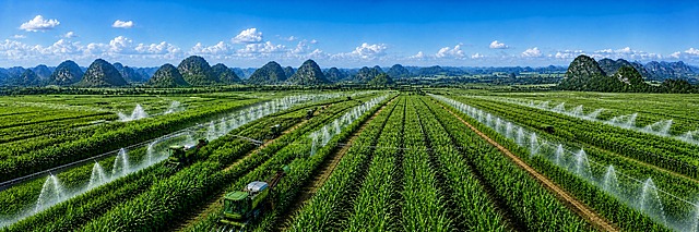 将画面调整为5米×1.5米的超宽幅比例，保持原甘蔗田喷淋系统与喀斯特山脉田园风光的完整内容，高清喷印级画质，细节锐利清晰，适合大幅喷绘输出