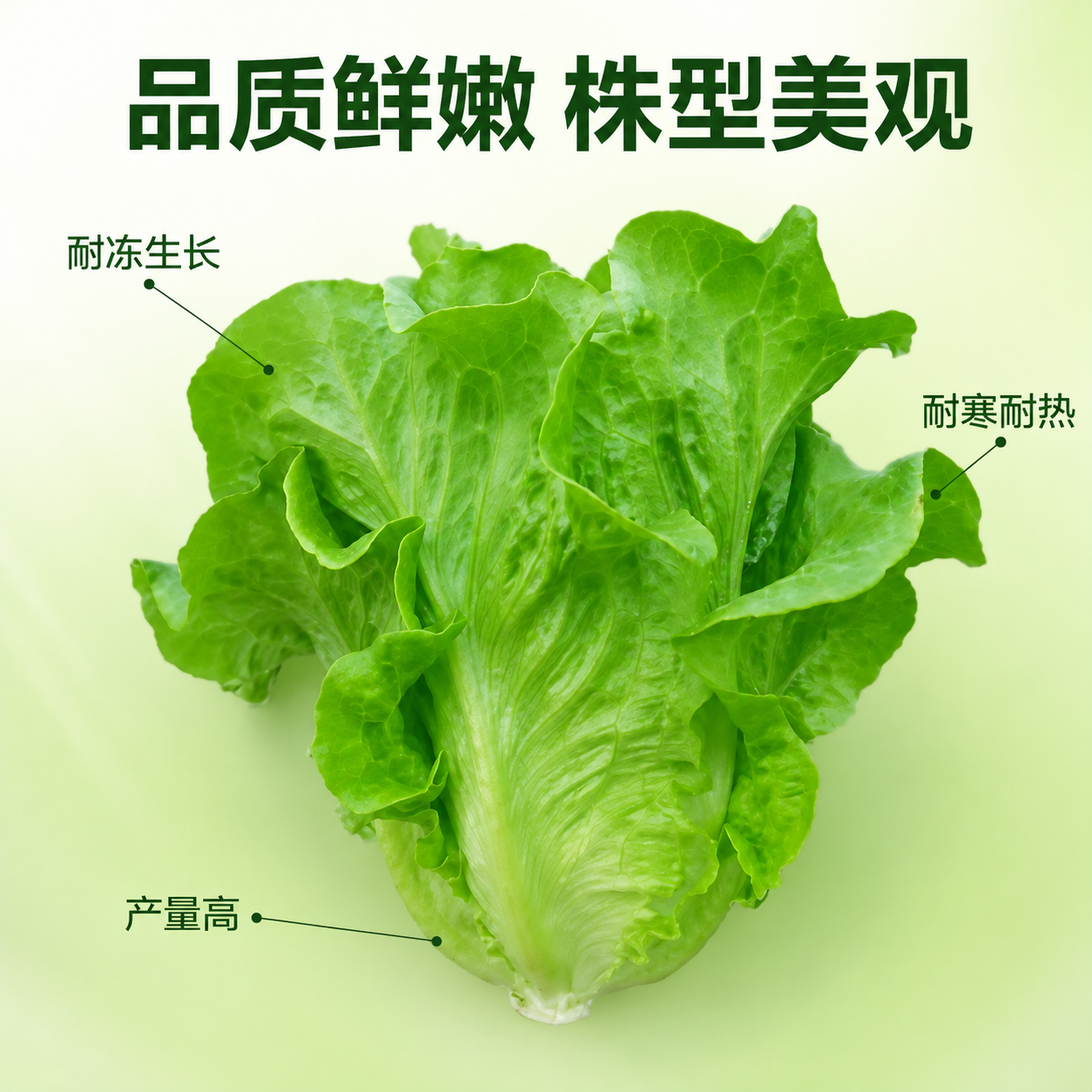 使用电商主图技能生成5张比例1:1的电商主图，适配平台为抖音，… - 图片创意预览
