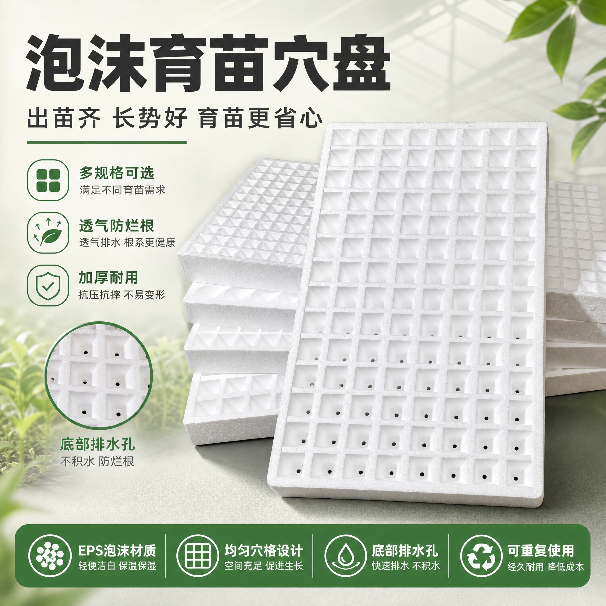 [主图-1] 泡沫育苗穴盘 首图点击率海报。唯一任务：第一眼抓… - 图片创意预览