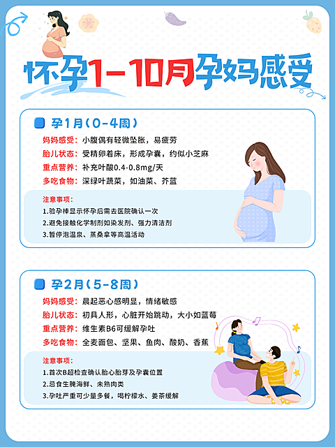 母婴亲子孕产孕期知识科普分享卡通风小红书配图