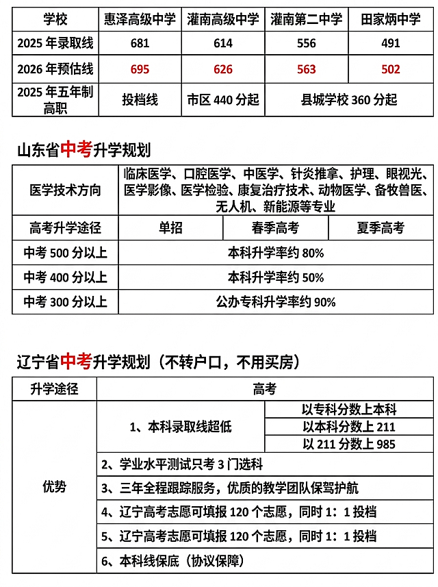 将原图中的表格文字内容清晰整齐地排版到高285mm宽210mm的竖向单页上，保持所有表格和文字信息完整，排版规整清晰易读。