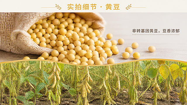 「图片1」「图片1」「图片1」「图片1」「图片1」「图片1」「图片1」「图片1」「图片1」# 农谷福五谷杂粮组合（红豆+黄豆+绿豆）拼多多详情页PS设计方案，，不改变素材。 页面宽度：**790px**，整体5大板块：焦点图→商品参数→实拍细节→产地优势→食用指南，风格自然简约、原生态田园风，适配拼多多农产品页面规范  ## 一、配色方案 1. **主色：暖麦黄色#E6B85C**（呼应稻谷素材、大豆原生色调，代表五谷自然谷物属性） 2. **辅色：浅米白#F8F5EB + 豆绿色#73A857**（绿豆固有色，柔和打底，烘托健康天然） 3. **点缀色：赤红豆红#A82828**（红豆原色，用于标题重点、价格标签、分割线条）  ## 二、字体设计（拼多多详情通用无衬线字体，PS安装思源黑体） 1. **主标题：思源黑体Bold 32~38px**（粗体，麦黄/红豆红，板块大标题，醒目） 2. **副标题：思源黑体Medium 22~26px**（常规加粗，深棕#4A3822，产品卖点小标题） 3. **辅助文字：思源黑体Regular 14~18px**（浅黑#333333，参数、吃法、说明正文）  ## 三、分板块PS分步制作（画布统一790px宽，高度按需分层新建） ### 板块1：焦点图（首屏海报，高度900px） #### PS操作步骤 1. 新建画布：`790×900px`，分辨率72dpi，RGB颜色 2. 底层背景：浅米白#F8F5EB铺底，边角叠加**金色稻谷素材（最后一张稻穗图）**，放置画面四角，降低图层不透明度20%做暗纹底 3. 中间主体：把**三豆摆盘素材（第8、9张三色豆子方盒图）**抠图去白底，居中摆放；左侧红豆、中间黄豆、右侧绿豆错落排布 4. 文案排版：     - 顶部主标题【农谷福三色杂粮｜红豆+黄豆+绿豆 500g×3组合装】（红豆红36号粗体）     - 副标题【农家原生态 | 粗粮膳食 日常煮粥代餐优选】（深棕24号）     - 右下角价格标：圆角矩形填充红豆红#A82828，白色文字「到手价23.9元」 5. 装饰：画面侧边点缀少量散落豆子素材，高斯模糊弱化边缘，营造自然洒落质感  ### 板块2：商品参数图（高度550px） 1. 画布`790×550px`，背景浅米白，顶部加麦黄色细分割线 2. 左侧小标题：【产品参数】（麦黄32号粗体） 3. 中间分栏表格：PS用矩形工具画3栏布局，白底浅灰细边框 |参数项目|详情内容| | ---- | ---- | |产品搭配|红豆500g+黄豆500g+绿豆500g| |品牌|农谷福| |规格|3斤组合装| |储存|阴凉干燥避光存放| 4. 侧边小配图：分别抠出单种豆子颗粒图（1、3、5图）缩小放在参数栏空白处点缀  ### 板块3：实拍细节图（高度1200px，分3小图分段） 拆分成3段，每段790×400px，依次对应红豆、黄豆、绿豆 1. **红豆段**：导入红豆麻袋实拍+豆荚原图（第1、2张），左右分栏：左豆子颗粒特写、右田间豆荚实拍；配小字「颗粒饱满 农家红小豆」 2. **黄豆段**：导入黄豆麻袋+田间植株图（第3、4张），上下排版，大图展示黄豆圆润颗粒，小字「非转基因黄豆，豆香浓郁」 3. **绿豆段**：导入绿豆麻袋+田间豆荚图（第5、6张），平铺实拍细节，标注「皮薄易出沙，熬汤优选绿豆」 > PS技巧：所有实拍图统一调色，增加自然饱和度+10，降低对比度5，突出原生态质感  ### 板块4：产地优势图（高度650px） 1. 背景：浅绿渐变#F2F8E9→#F8F5EB，顶部稻谷素材平铺暗纹 2. 主标题【源头直采 产地原生态种植】（红豆红34号） 3. 3列布局，每列配对应豆子田间实拍：     - 左列：红豆产地→山地露天种植，自然成熟     - 中列：黄豆产地→黑土地培育，无化肥催熟     - 右列：绿豆产地→旱地原生态种植，自然晾晒 4. 底部辅助文案：从田间到封装，人工筛选坏豆，保留优质原粮  ### 板块5：食用指南图（高度700px） 1. 画布790×700px，麦黄色浅底，标题【3种豆子家常吃法｜三餐健康膳食】 2. 分3个圆角卡片（PS圆角矩形工具，半径12px）：     - 红豆卡片：红豆杂粮粥、红豆沙甜品     - 黄豆卡片：豆浆、黄豆炖猪蹄     - 绿豆卡片：绿豆汤、绿豆杂粮饭 3. 卡片内放入对应豆子小图+吃法短句，辅助文字标注「25~40岁养胃、健身人群日常膳食搭配」  ## 四、PS图层管理规范（方便修改） 1. 每个板块单独建图层组：【焦点图层组/参数图层组/细节图层组/产地图层组/食用指南组】 2. 素材层、文字层、背景层分层上锁，稻谷装饰素材统一放「装饰素材组」 3. 全部完成后，逐个板块**文件→存储为JPG（品质85）**，按拼多多要求单张上传  ## 五、备用优化小技巧 1. 如需加组合礼盒效果图，用第7张三豆木盘图放大做组合产品全景 2. 全页面统一加1px浅棕分割线，区分5大板块，视觉更整洁
