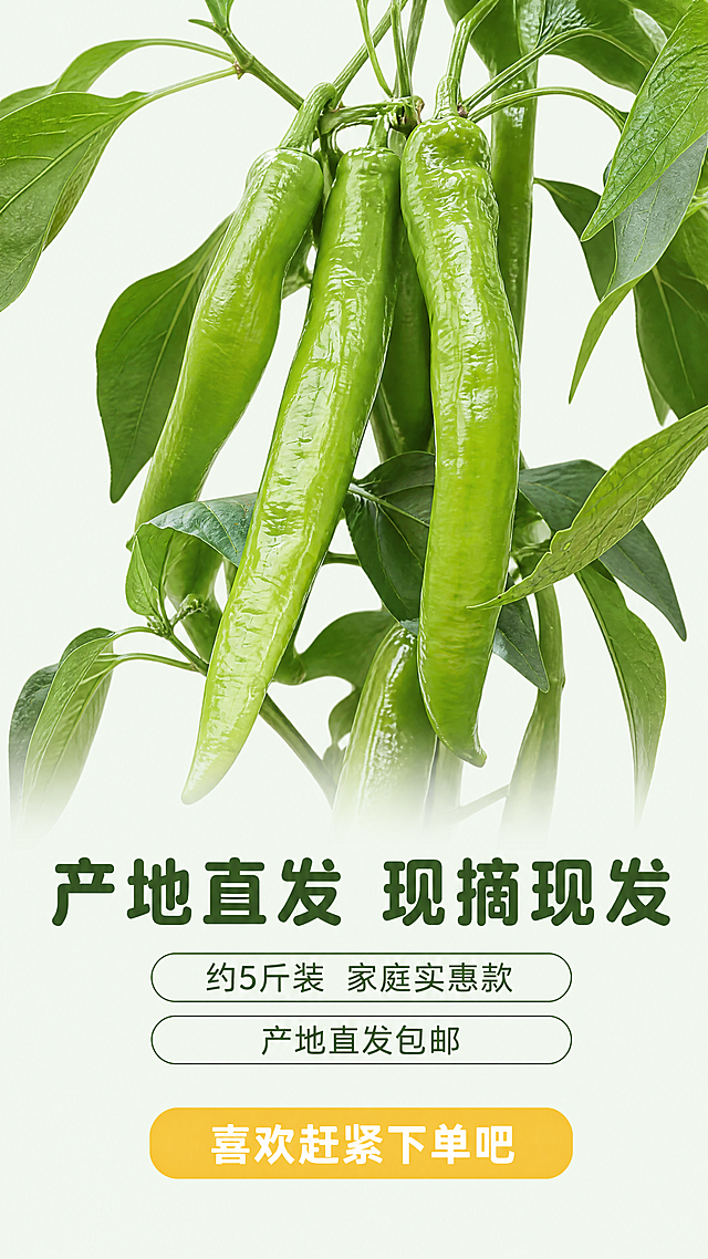 [第8屏] 规格信息与收尾转化。本屏使用【图1】作为青椒主体，保持外观一致。
[氛围/风格] 收尾转化风格，延续全套统一清新自然风格，促进下单。
[元素布局] 画面上方放置整株新鲜青椒展示，占画面50%，保持形状色泽纹理与原图一致，下方是规格选购信息和号召标题，整体饱满不拥挤。
[光影质感] 明亮均匀自然光，整体通透自然，产品和信息都清晰展示。
[配色色系] 全局底色：#F2F9F0（浅青绿色）；延续全套配色体系，遵循首屏文字规则，不新增颜色。
[视角构图] 上产品下信息的垂直构图，阅读从上到下流畅自然，收尾有力。
[文字版式] 上方青椒展示，下方区域：主标题 "产地直发 现摘现发"，圆角深绿色字体居中。规格信息："约5斤装 家庭实惠款"，"产地直发包邮"，清晰展示。底部号召语 "喜欢赶紧下单吧"，黄色底白色字，醒目不浮夸。文字大小适配手机阅读，不遮挡青椒主体。沿用首屏字体和字色规则。
[比例分辨率] 9:16竖版比例，4K分辨率，文字清晰可辨，超高清。
[负向提示词] 青椒变形，颜色偏差，文字错乱，过度促销，违规词，背景杂乱，水印