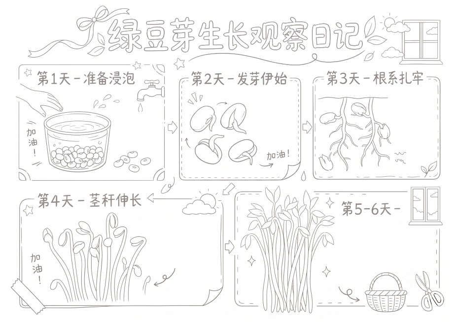 将线稿图的线条颜色再次调浅，把所有黑色线条调整为更浅的淡灰色，保留所有图案文字和结构完整，背景保持纯白色不变预览效果