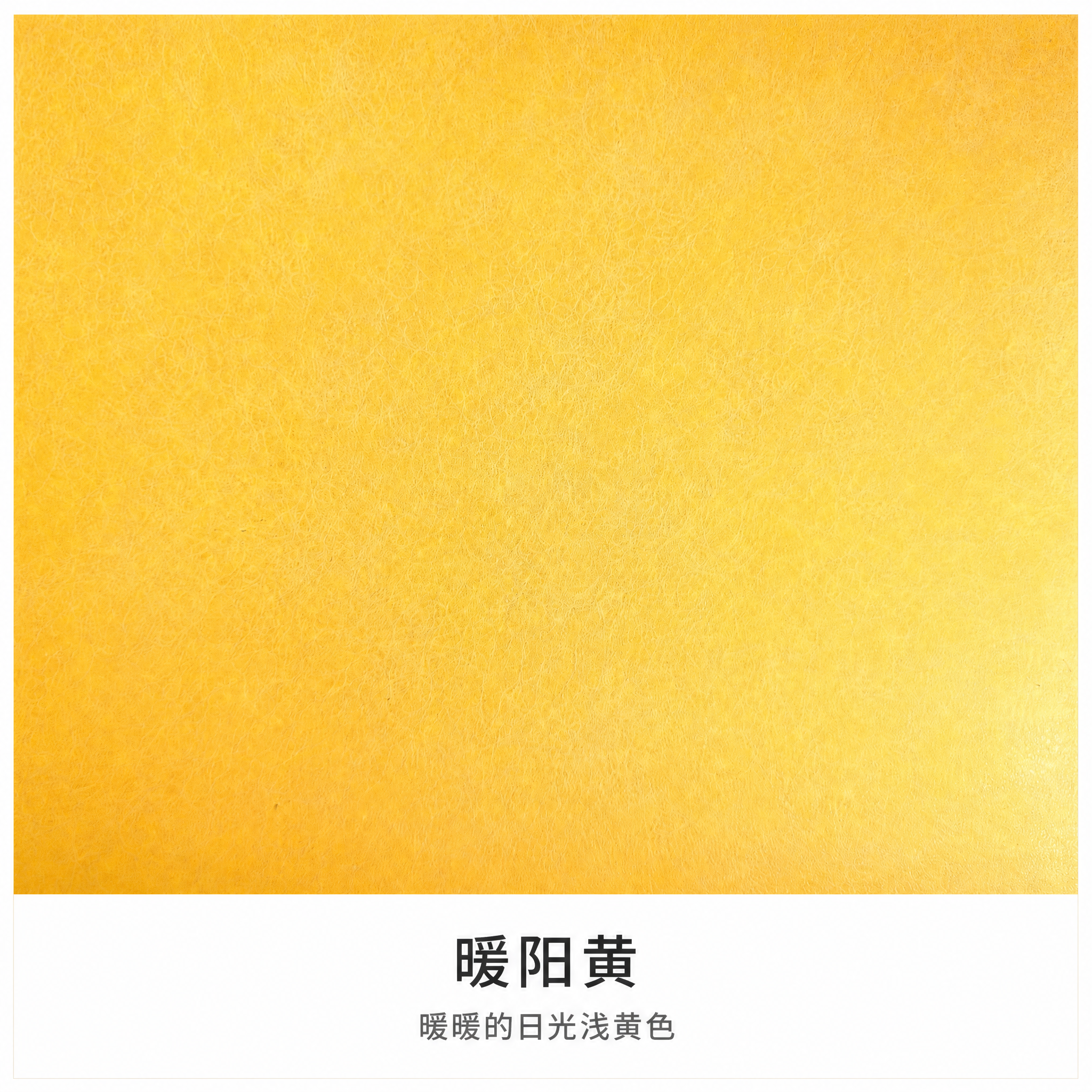 将这张皮料色卡修改为统一格式：保留皮料原始颜色和纹路完全不变，… - 图片创意预览