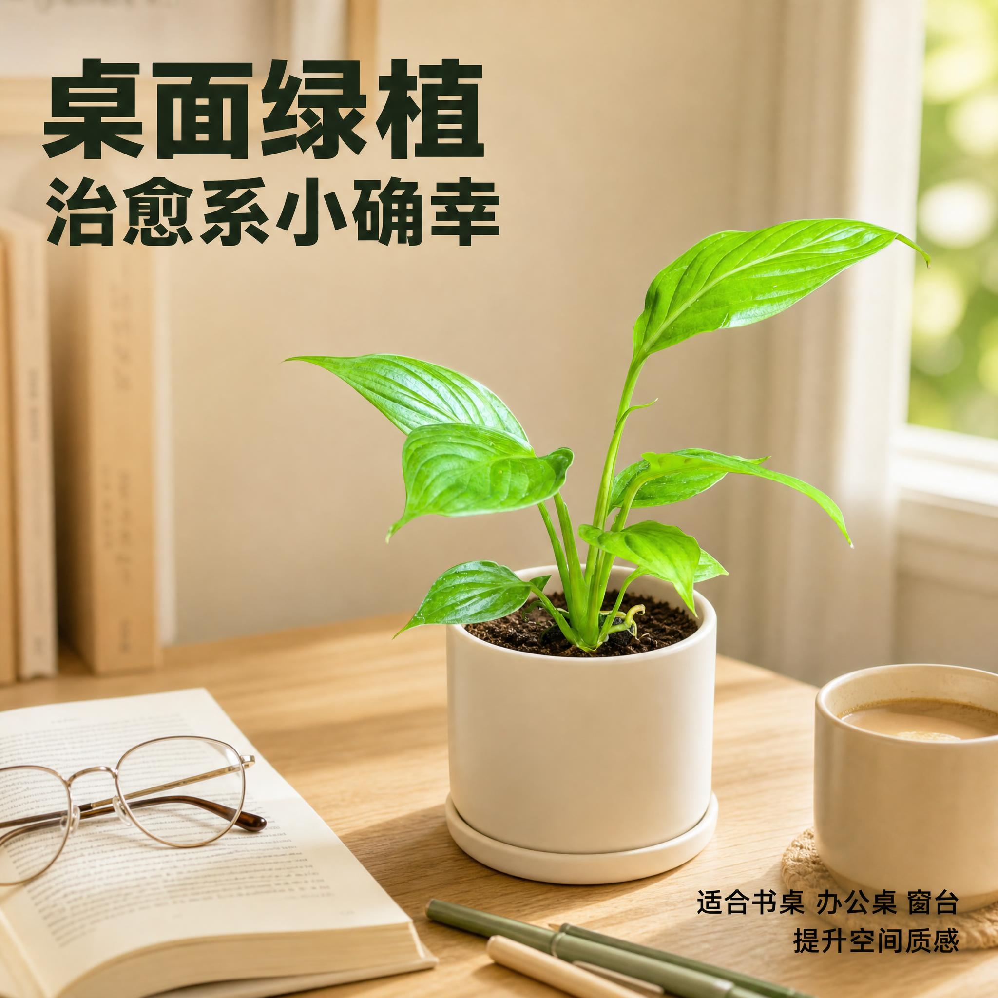 [主图-9] 桌面装饰 美学场景展示。 [统一基调] 拼多多国… - 图片创意预览