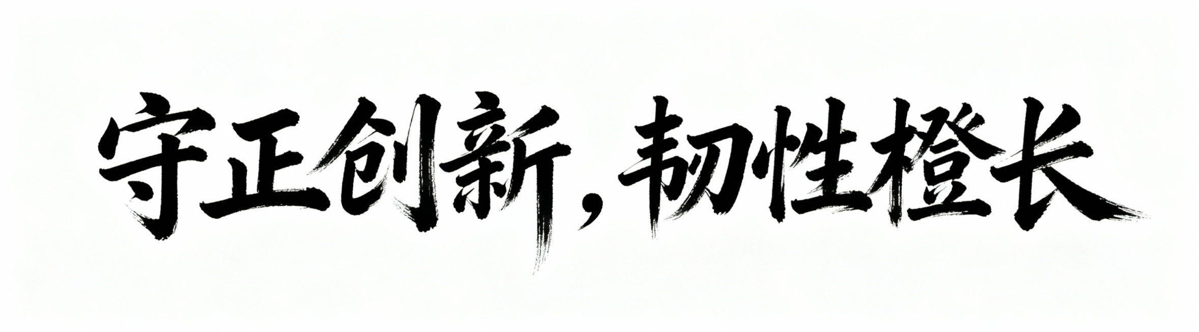 预览效果