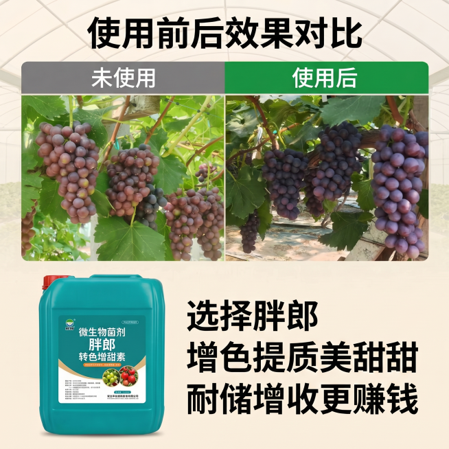 把这张图中的葡萄使用前后效果对比换成我发给你的图片「图片1」「图片1」预览效果