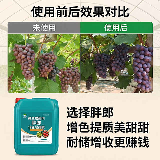 把这张图中的葡萄使用前后效果对比换成我发给你的图片「图片1」「图片1」