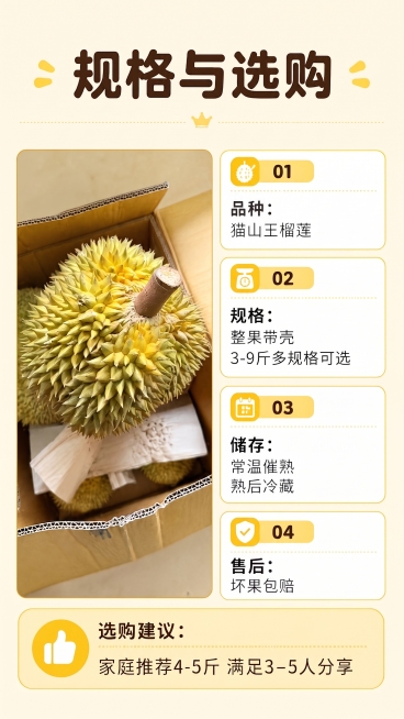 预览效果