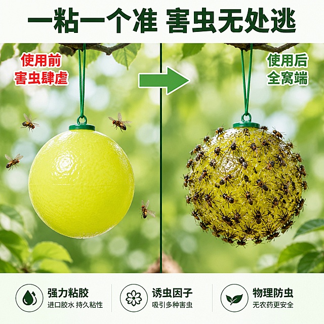 [主图-2] 粘虫球诱捕效果对比图，突出强力粘胶高效诱捕。
[氛围风格] 清新自然风，左右对比构图，视觉冲击力强。
[画质] 商业摄影质感，光线均匀明亮，产品细节清晰，画面干净有说服力，超高清2K画质。
[元素] 画面采用左右分屏对比构图。左侧（使用前）：一只粘虫球悬挂在果树枝上，球体干净无虫，旁边有几只果蝇正在飞舞靠近，背景是绿叶虚化。右侧（使用后）：同一款粘虫球表面密密麻麻粘满了果蝇、瓜实蝇、小飞虫等害虫，球体表面粘胶层清晰可见，体现超强粘性。中间有一条垂直分割线，上方有箭头从左指向右。两个粘虫球外观颜色形状一致，都是黄绿色球体带绿色挂绳。商品主体占比约70%。
[光影] 左右两侧光线均匀一致，正面柔光照明，球体表面有均匀高光，粘胶层有明显光泽质感，阴影柔和自然。
[配色] 主色调为绿色+黄绿色，左侧偏清新明亮，右侧因虫体较多颜色略深但保持干净，分割线用深绿色。
[视角构图] 正面平视角度，左右对称构图，两个球体大小一致位置对称，便于对比效果。景深较浅，背景虚化。
[文字版式] 顶部居中大标题"一粘一个准 害虫无处逃"，深绿色粗体无衬线最大号字。左侧上方标注"使用前 害虫肆虐"，红色字体醒目；右侧上方标注"使用后 全窝端"，绿色字体。底部三列卖点图标+文字：第一列「强力粘胶」「进口胶水 持久粘性」，第二列「诱虫因子」「吸引多种害虫」，第三列「物理防虫」「无农药更安全」。每列配简约线条图标，文字左对齐，深绿色字体。
[输出要求] 1:1比例，文字清晰锐利可辨，超高清商业摄影质感。
[负向提示词] 变形，文字错乱，产品模糊，背景杂乱，水印，电商平台Logo，人物，恶心画面。