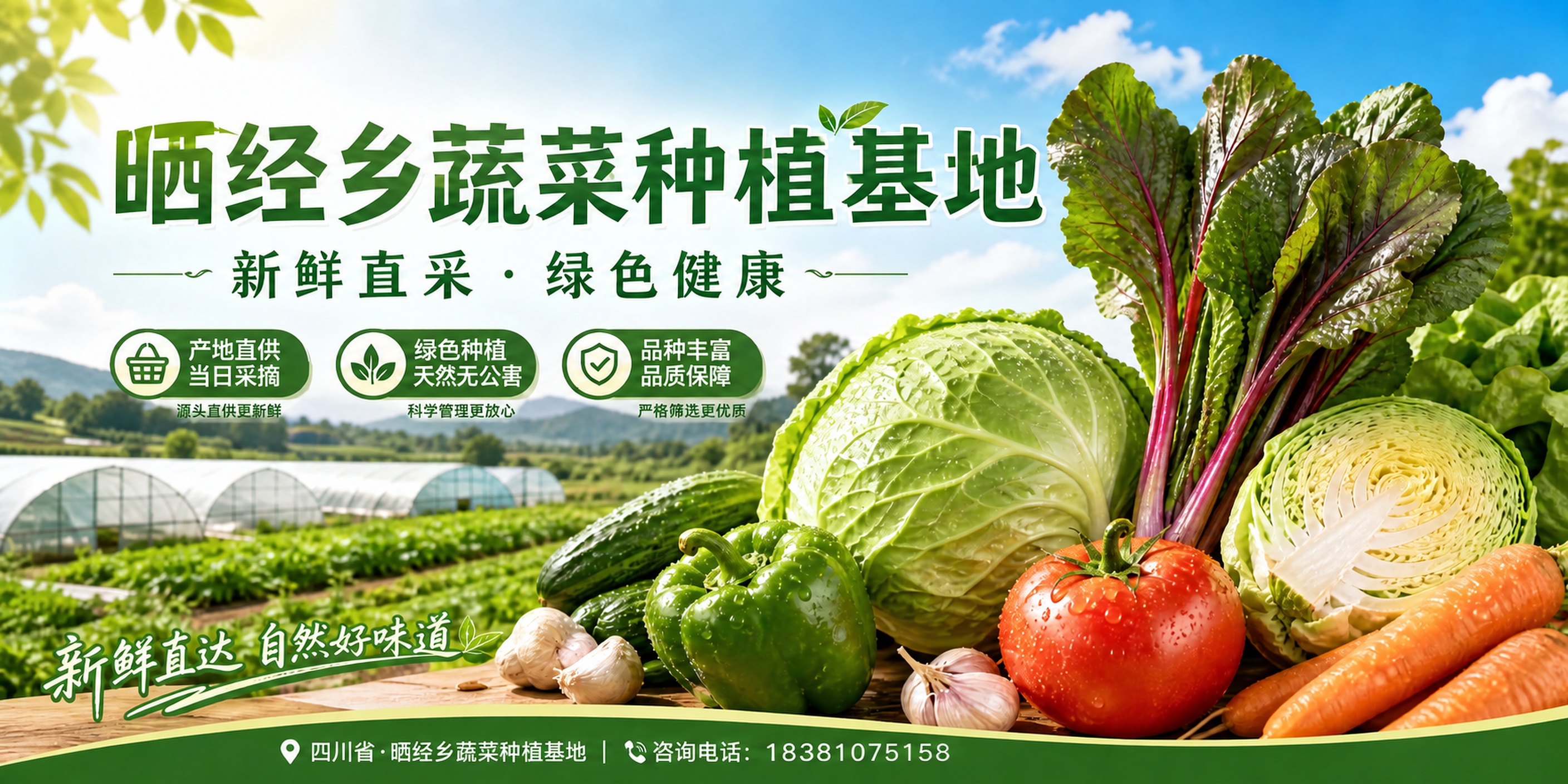 在这张横版蔬菜种植基地海报的底部绿色栏中，将咨询电话号码替换为… - 图片创意预览