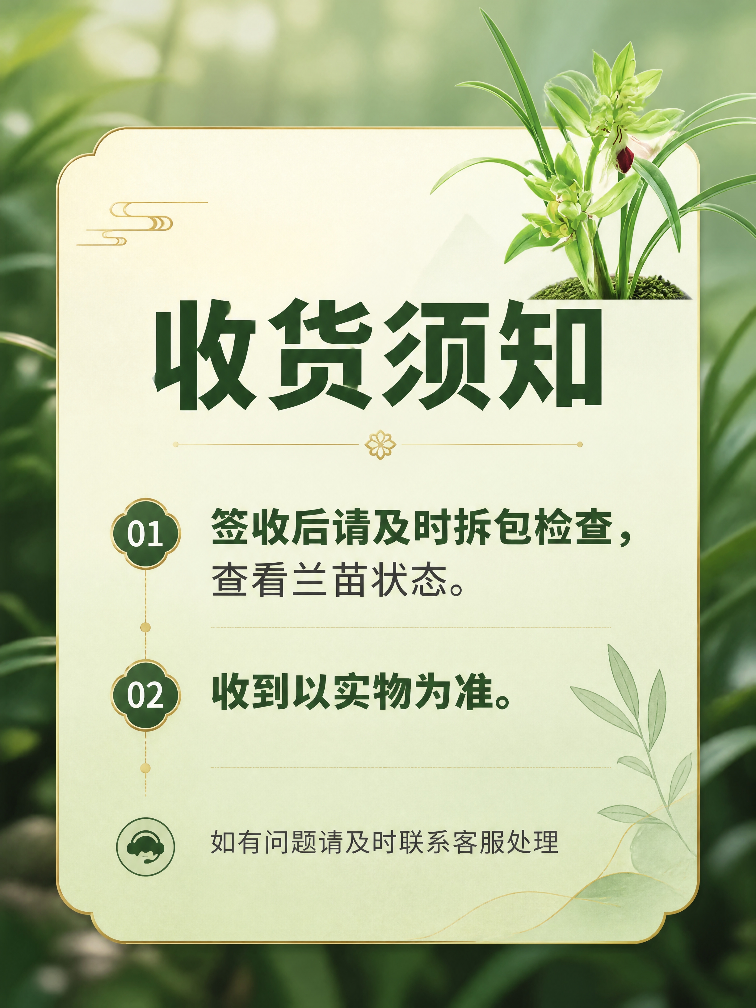 [商品] 使用【图5】兰苗图作为收货检查参考；保留兰苗整体形态… - 图片创意预览