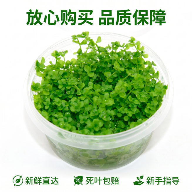 确认预览效果