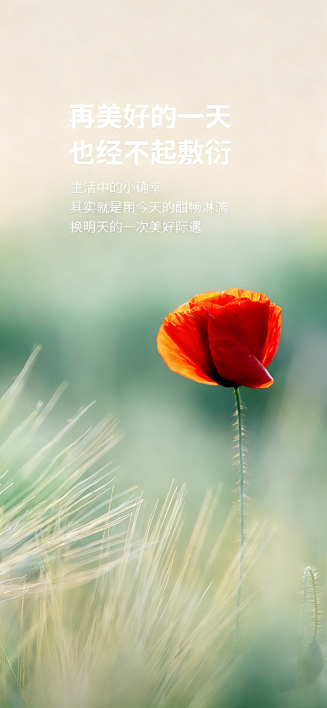 移除图片下方所有的文字、字母、数字和二维码，保持图片原有的虞美人花和背景草地的色彩、风格不变，只保留干净的植物风景画面