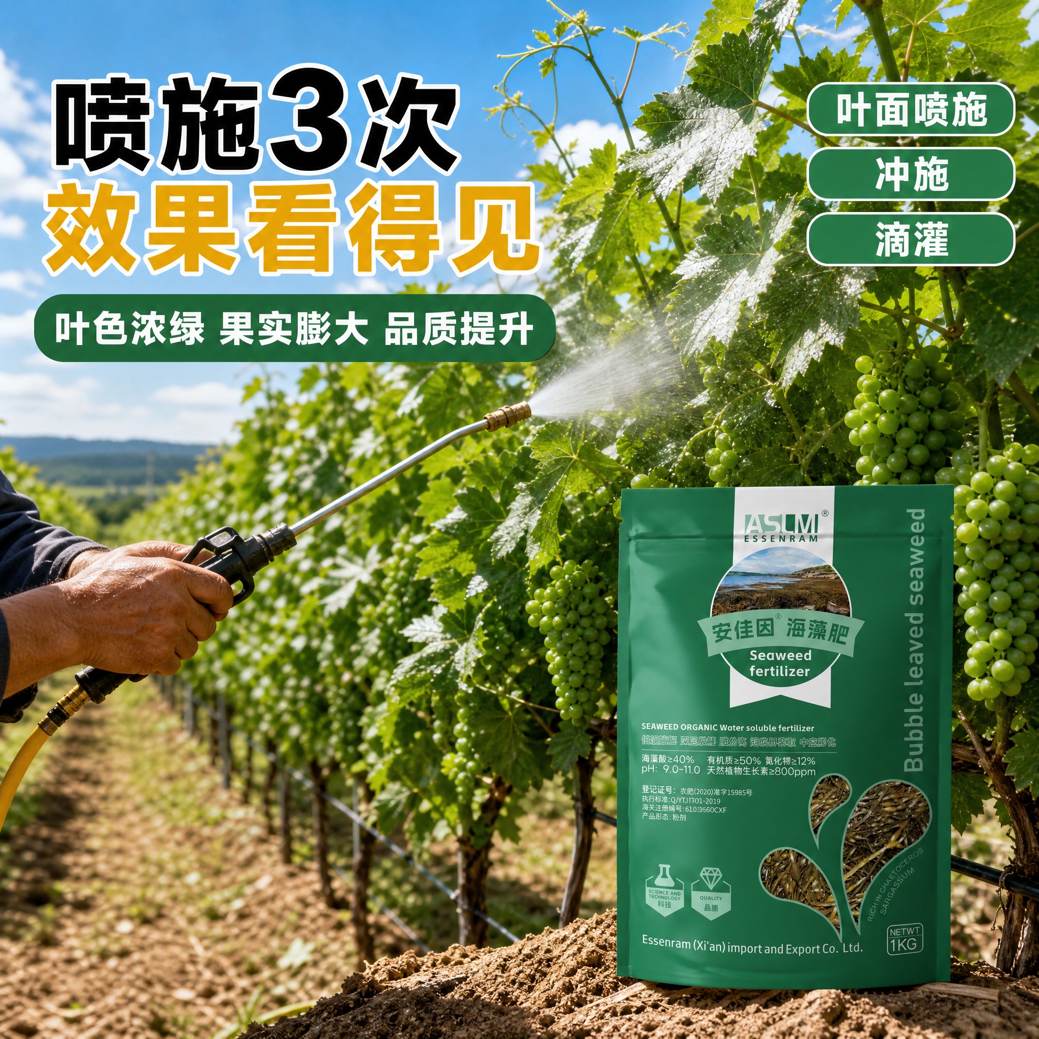 [主图-4] 安佳因海藻肥 有机水溶肥料 使用场景展示 农田喷… - 图片创意预览