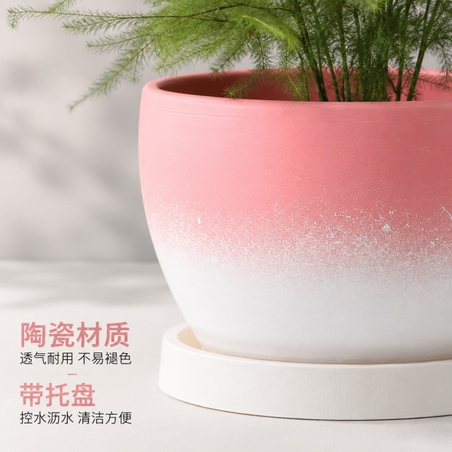 使用电商主图技能生成4张比例1:1的电商主图，适配平台为淘宝/天猫，商品为「图片1」，商品卖点为 ，主图重构一粉色花盆必须配”高颜值场景” 粉色花盆的核心卖点是”颜值”。柏盛家居¥6.60之所以好卖，预览效果