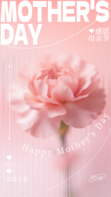 母亲节特写康乃馨祝福海报预览效果