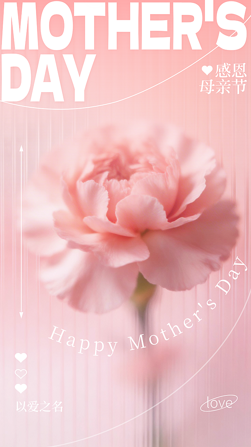 母亲节特写康乃馨祝福海报