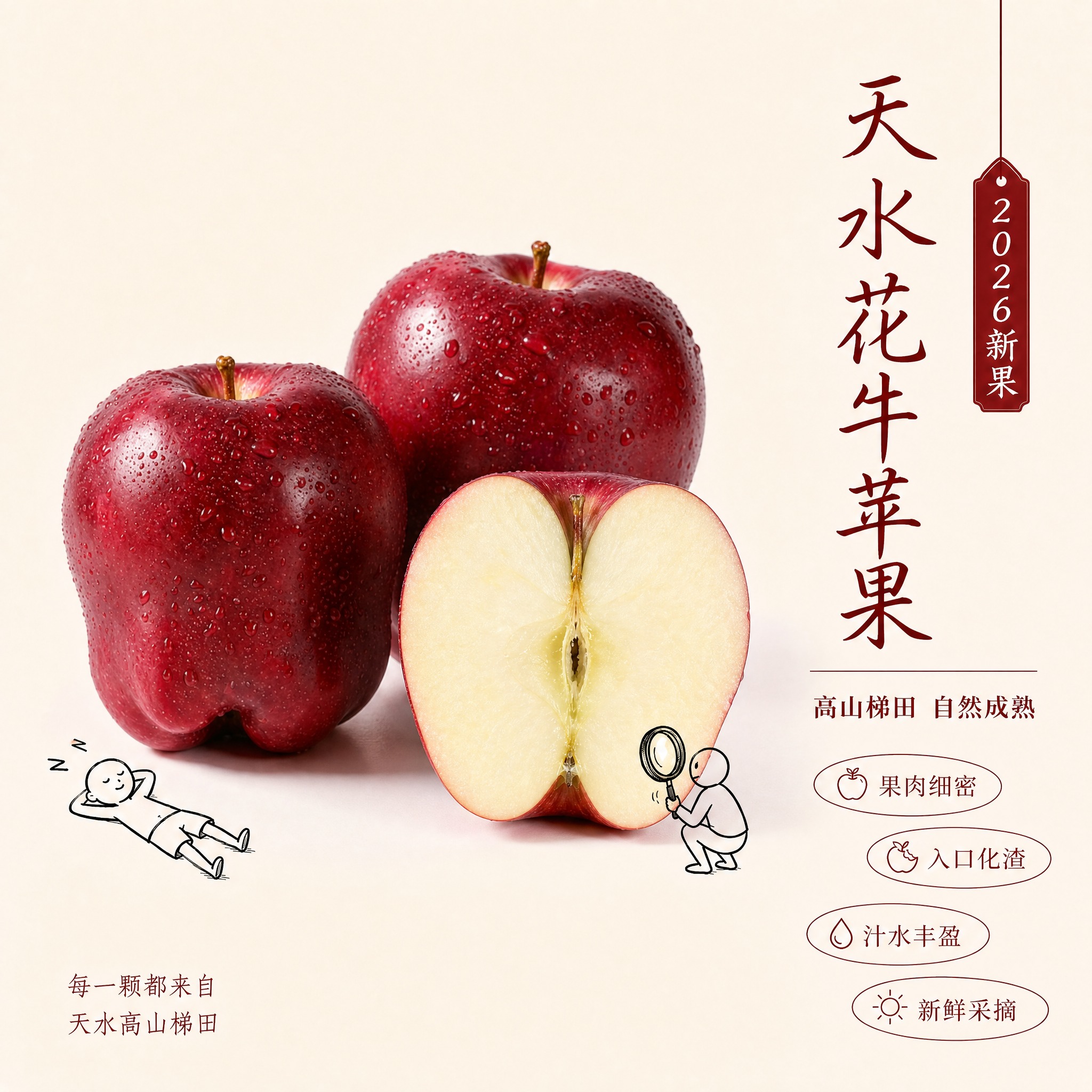 [测款主图-2] 完全沿用参考图 145.jpg 的版式与文字… - 图片创意预览